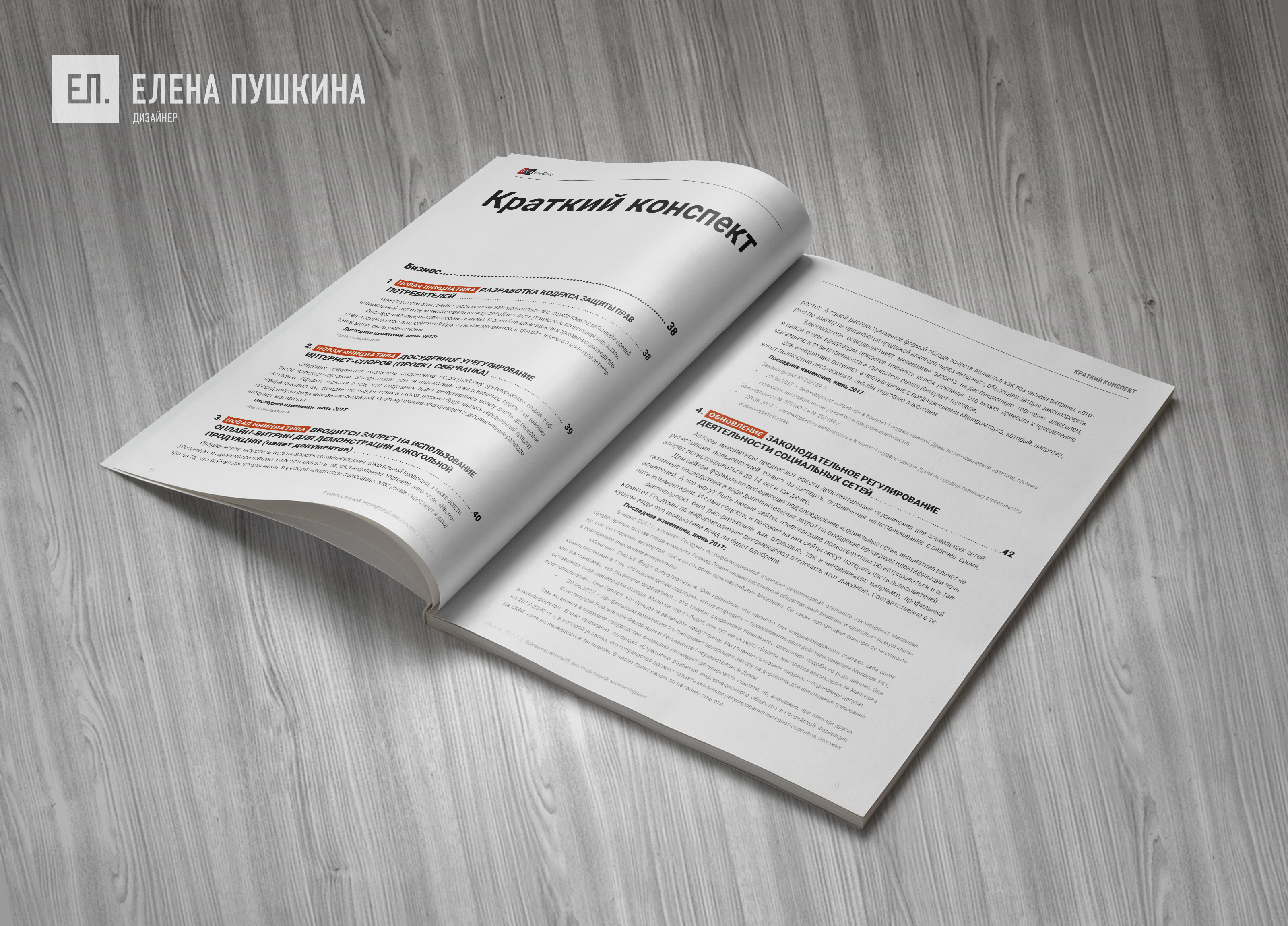 Аналитический отчёт «Ежемесячный экспертный отчёт» — дизайн с «нуля» обложки, макета, инфографики и вёрстка брошюры Дизайн каталогов Портфолио