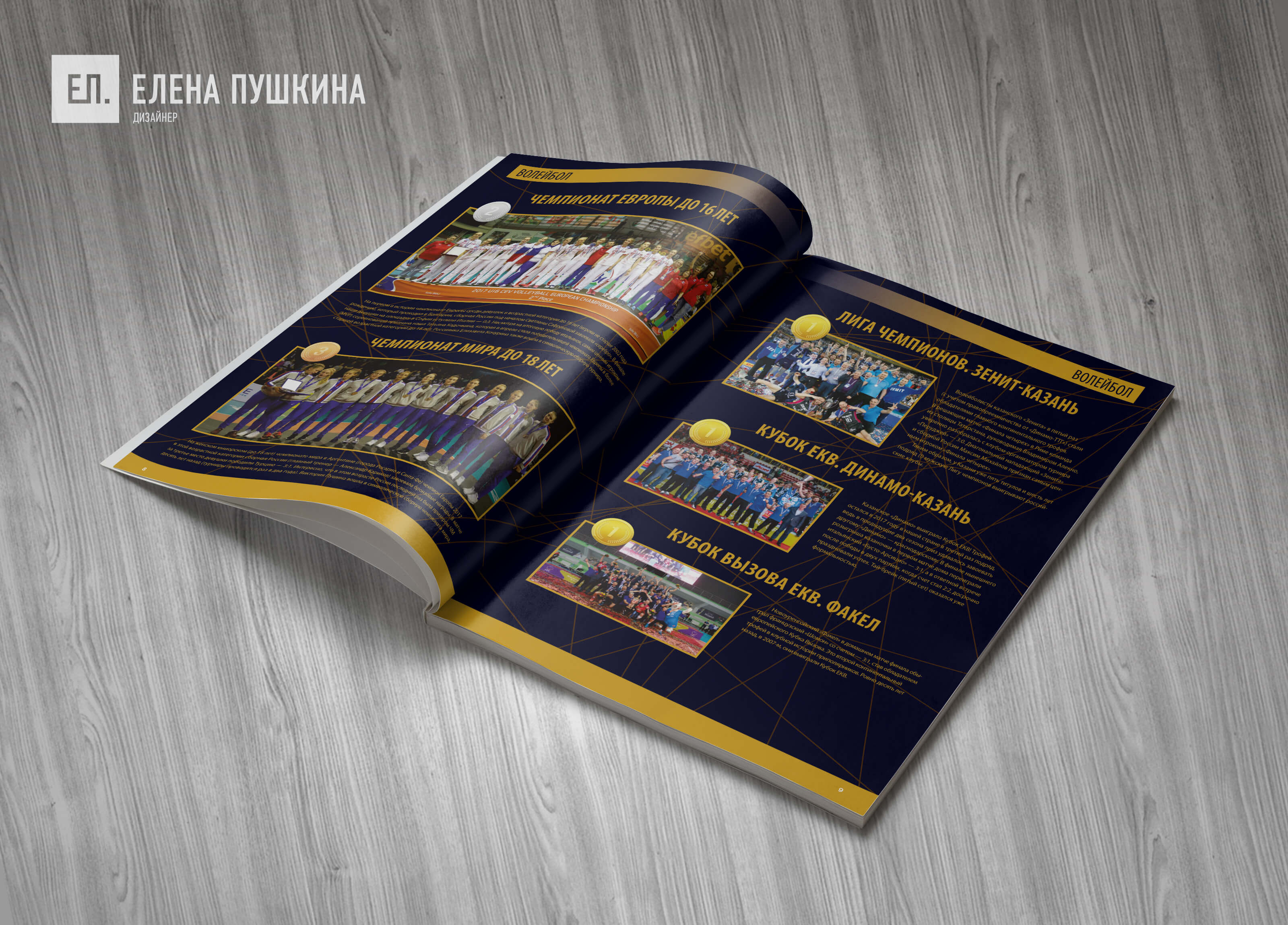 Буклет отчётной конференции ВФВ «Волейбол. Достижения 2017–2018» — разработка дизайна с «нуля» и вёрстка брошюры Дизайн каталогов Портфолио