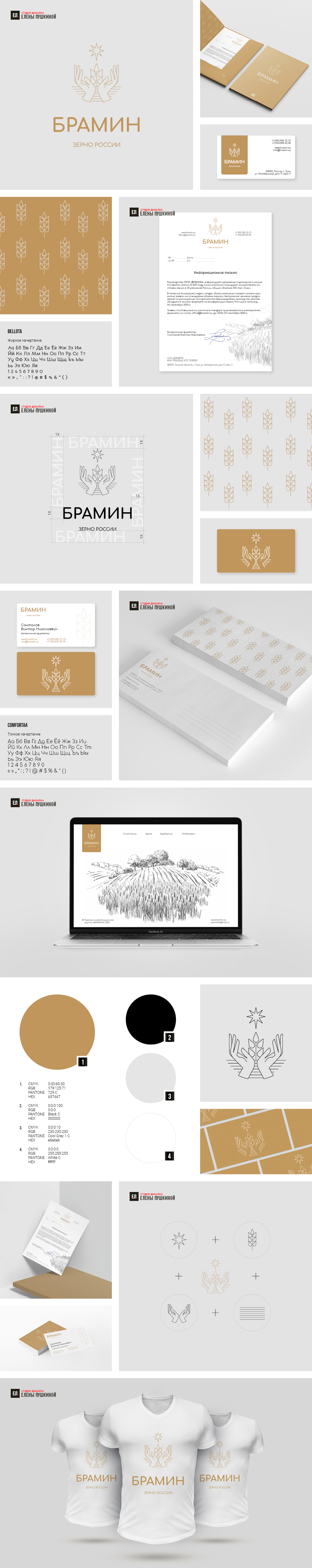 Разработка фирменного стиля для компании ООО «Брамин» Разработка айдентики Портфолио