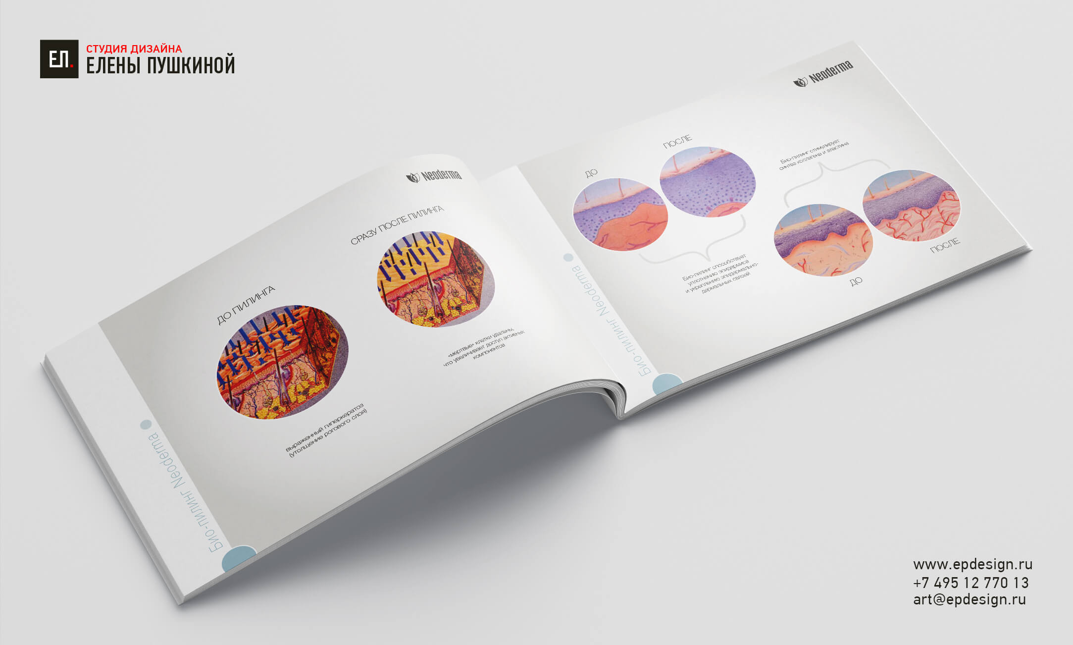 Каталог косметической продукции «NEODERMA» — дизайн с «нуля» обложки, макета и вёрстка каталога Дизайн каталогов Портфолио